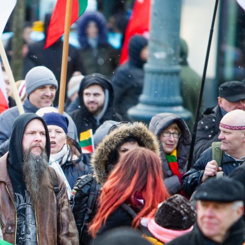 Šventinis trijų Baltijos valstybių pakėlimo ceremonija ir trispalvės nešimas   © Irmanto Gelūno / Fotobanko nuotr.