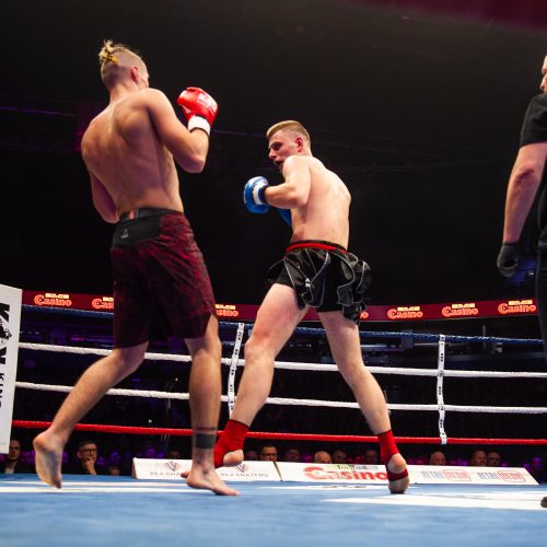 Tarptautinis turnyras „BUSHIDO KOK 2019 Vilnius“  © I. Gelūno/Fotobanko nuotr.