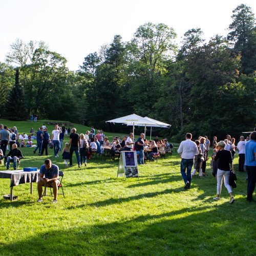 L. Adomaičio koncertas Kairėnų muzikos festivalyje  © P. Peleckio / Fotobanko nuotr.