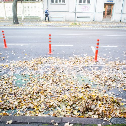 Rudeniniai lapai nuklojo Kauną  © 