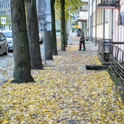 Rudeniniai lapai nuklojo Kauną  © 