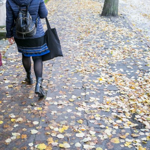 Rudeniniai lapai nuklojo Kauną  © 