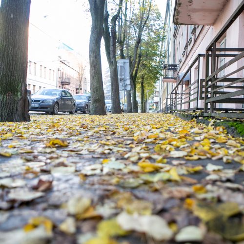 Rudeniniai lapai nuklojo Kauną  © 