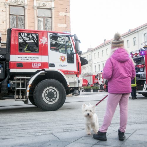 Laisvės alėjoje – gausios ugniagesių pajėgos  © Vilmanto Raupelio nuotr.