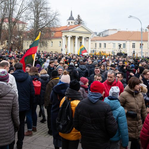 Trijų Baltijos valstybių vėliavų pakėlimo ceremonija S. Daukanto aikštėje  © G. Skaraitienės / Fotobanko nuotr.