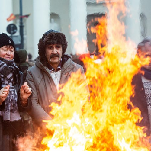 Gedimino prospekte suliepsnojo 30 Laisvės laužų  © G. Skaraitienės / Fotobanko nuotr.