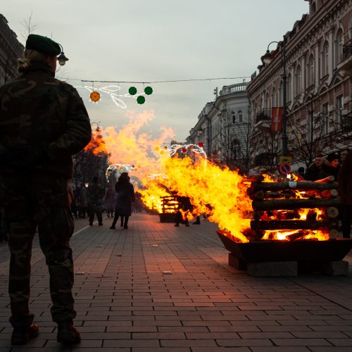 Gedimino prospekte suliepsnojo 30 Laisvės laužų  © G. Skaraitienės / Fotobanko nuotr.