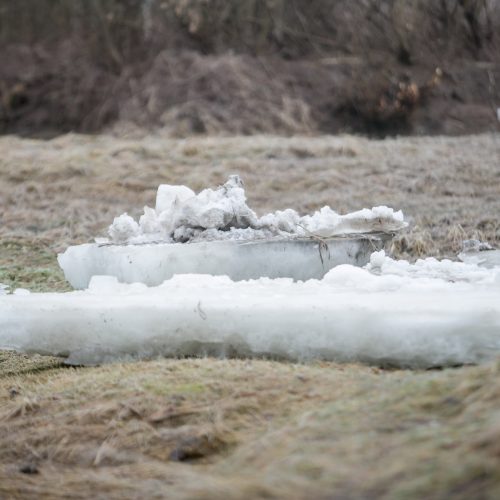 Ledo sangrūdos Radikiuose  © Vilmanto Raupelio nuotr.
