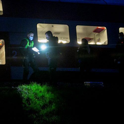 Petrašiūnuose po traukinio ratais žuvo jauna moteris  © Vilmanto Raupelio nuotr.