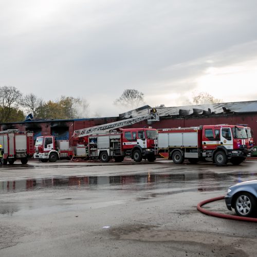 Ramučiuose užsiliepsnojo autoservisas  © Vilmanto Raupelio nuotr.