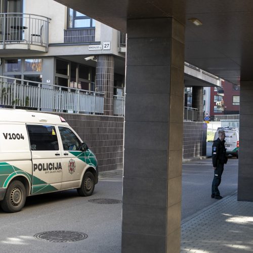 Vilniuje policija sulaikė neblaivų iš kovinio ginklo šaudžiusį vyrą  © P. Peleckio / Fotobanko nuotr.