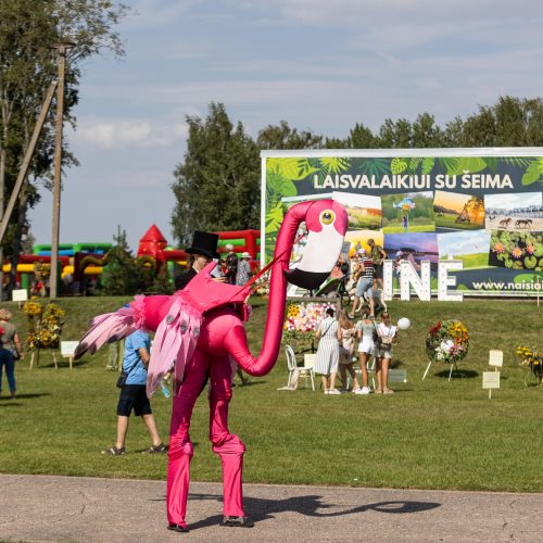  Festivalis „Naisių vasara 2022: Žolinė“  © P. Paleckio/BNS nuotr.