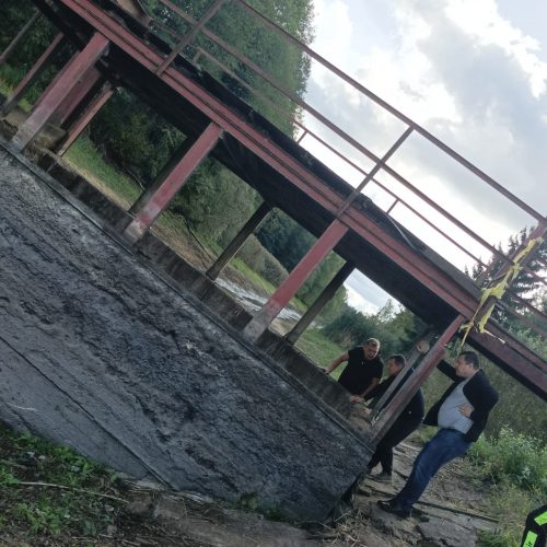 Kazlų Rūdos tvenkinyje išgaišo žuvys  © Regimanto Zakšensko, feisbuko nuotr.