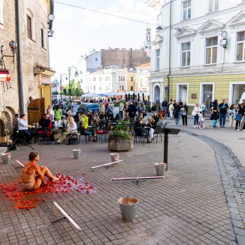 Sostinės centre – įspūdingas A. Jagelavičiūtės performansas  © Ž. Gedvilos/BNS nuotr.