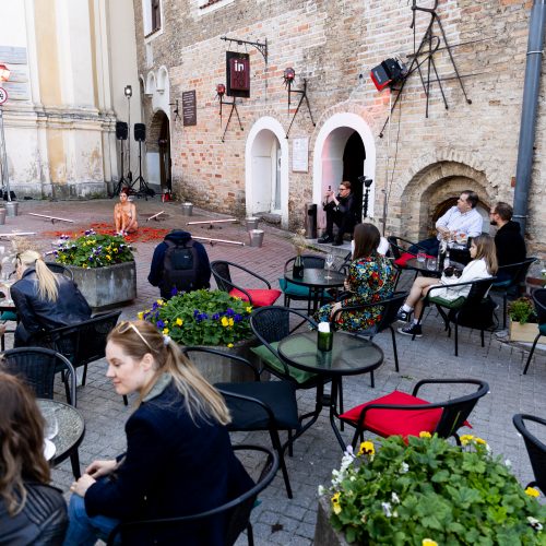 Sostinės centre – įspūdingas A. Jagelavičiūtės performansas  © Ž. Gedvilos/BNS nuotr.