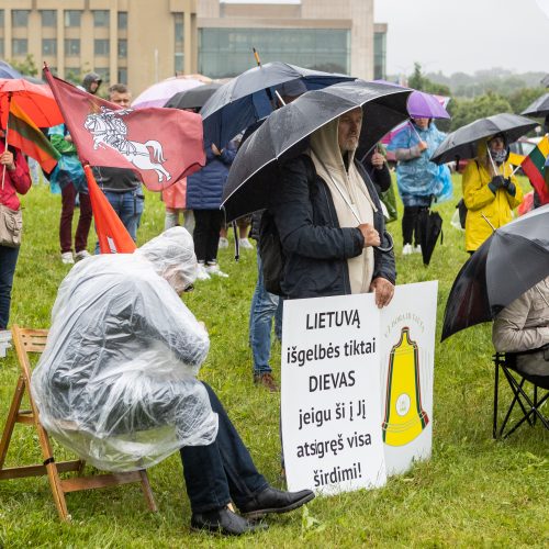 Šeimų sąjūdžio protestas prie Seimo  © L. Balandžio / BNS nuotr.