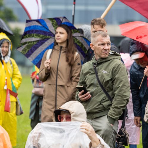 Šeimų sąjūdžio protestas prie Seimo  © L. Balandžio / BNS nuotr.