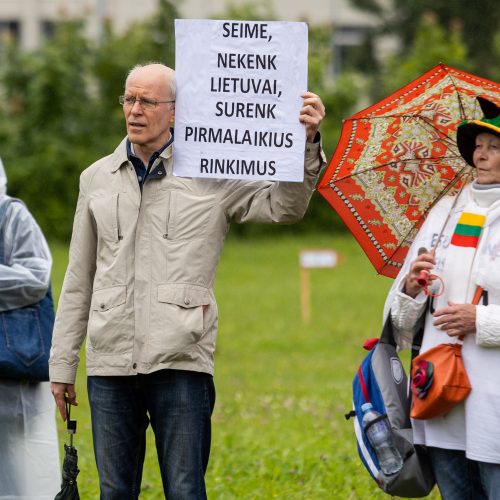 Šeimų sąjūdžio protestas prie Seimo  © L. Balandžio / BNS nuotr.