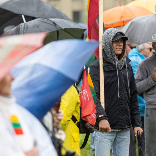 Šeimų sąjūdžio protestas prie Seimo  © L. Balandžio / BNS nuotr.