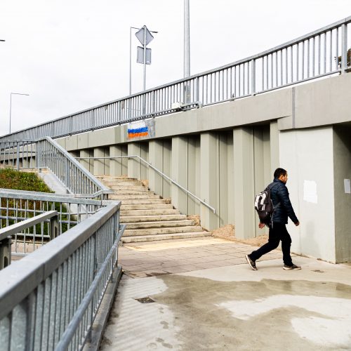 Grigiškėse pripiešta Rusijos vėliavų  © G. Skaraitienės/BNS nuotr.