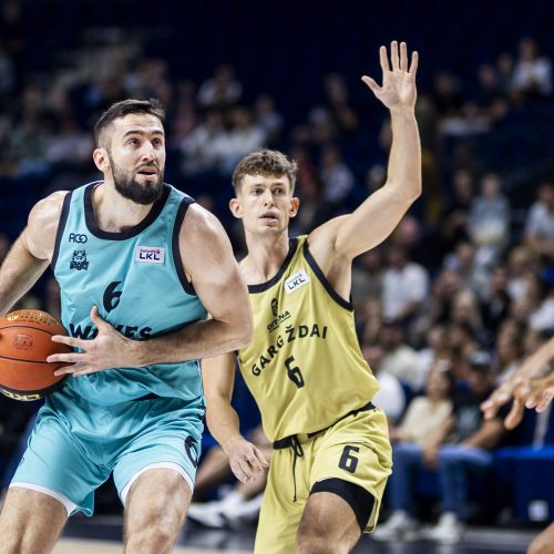 LKL rungtynės: „Wolves“ – „Gargždai“  © I. Gelūno/BNS nuotr.