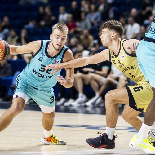 LKL rungtynės: „Wolves“ – „Gargždai“  © I. Gelūno/BNS nuotr.