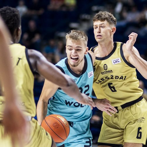 LKL rungtynės: „Wolves“ – „Gargždai“  © I. Gelūno/BNS nuotr.