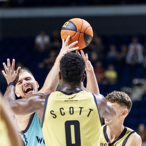 LKL rungtynės: „Wolves“ – „Gargždai“  © I. Gelūno/BNS nuotr.