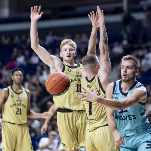 LKL rungtynės: „Wolves“ – „Gargždai“  © I. Gelūno/BNS nuotr.