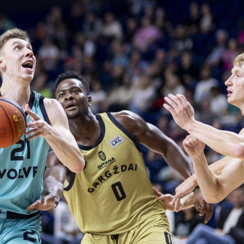 LKL rungtynės: „Wolves“ – „Gargždai“  © I. Gelūno/BNS nuotr.