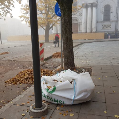 Rudeniniai lapai nuklojo Kauną  © 