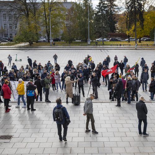 A. Astrauskaitės mitingas prieš pandemijos valdymą Vilniuje  © R. Lukoševičiaus/Fotobanko nuotr.