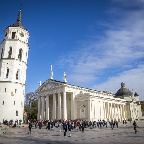 A. Astrauskaitės mitingas prieš pandemijos valdymą Vilniuje  © R. Lukoševičiaus/Fotobanko nuotr.