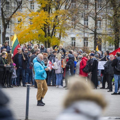 A. Astrauskaitės mitingas prieš pandemijos valdymą Vilniuje  © R. Lukoševičiaus/Fotobanko nuotr.