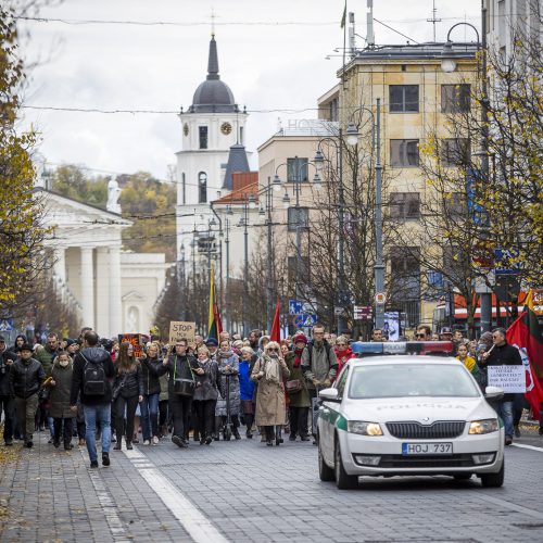 A. Astrauskaitės mitingas prieš pandemijos valdymą Vilniuje  © R. Lukoševičiaus/Fotobanko nuotr.