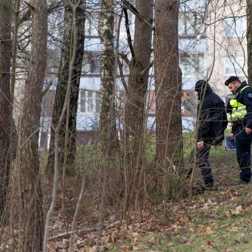 Galimai pagrobtos mergaitės paieška Vilniuje  © Butauto Barausko, I. Gelūno / Fotobanko nuotr.