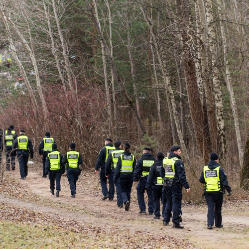 Galimai pagrobtos mergaitės paieška Vilniuje  © Butauto Barausko, I. Gelūno / Fotobanko nuotr.