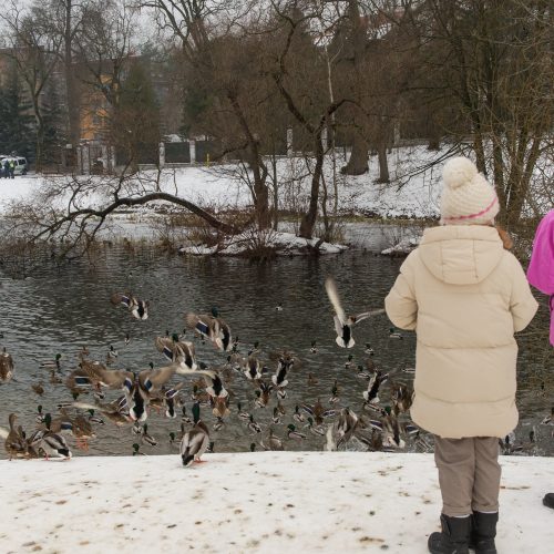 Po A. Navalno sulaikymo – piketas prie Rusijos ambasados Vilniuje  © Butauto Barausko nuotr.