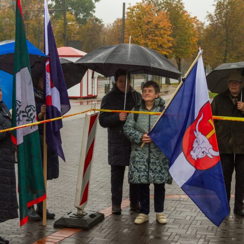 Piketas prieš planus dalį Kauno rajono teritorijos prijungti prie miesto  © Laimio Steponavičiaus nuotr.