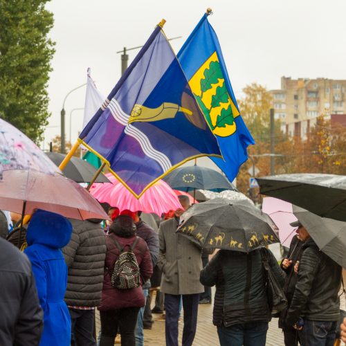 Piketas prieš planus dalį Kauno rajono teritorijos prijungti prie miesto  © Laimio Steponavičiaus nuotr.