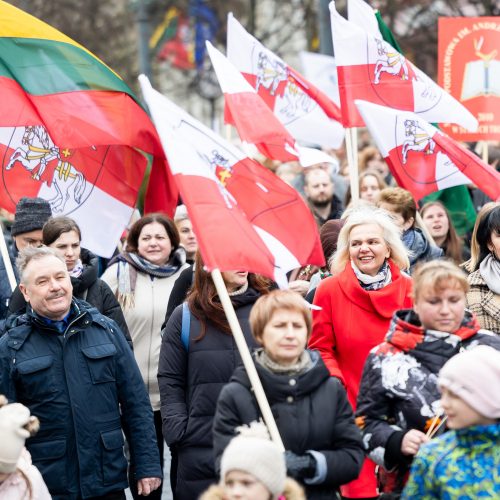 Mitingas tautinių mažumų mokykloms apginti  © L. Balandžio/BNS nuotr.