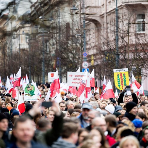 Mitingas tautinių mažumų mokykloms apginti  © L. Balandžio/BNS nuotr.