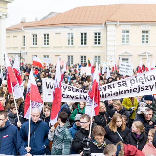 Mitingas tautinių mažumų mokykloms apginti  © L. Balandžio/BNS nuotr.