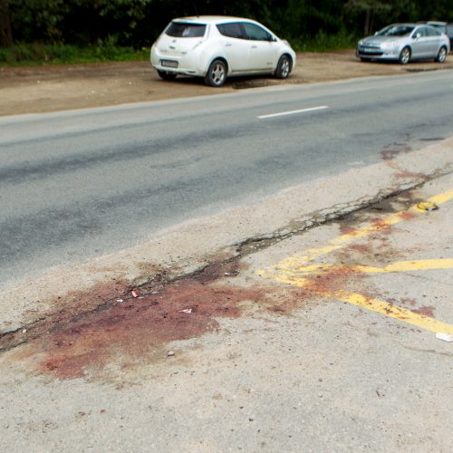 Žiaurios žmogžudystės Romainiuose vieta  © Laimio Steponavičiaus nuotr.