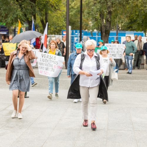 Piketas dėl dalies rajono prijungimo prie miesto  © Laimio Steponavičiaus nuotr.