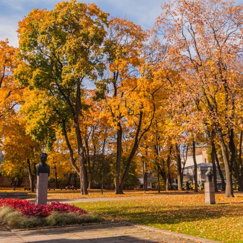 Rudenėjantis Kaunas  © Laimio Steponavičiaus nuotr.