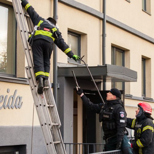 Asilo sulaikymas Žemaičių gatvėje  © Laimio Steponavičiaus nuotr.