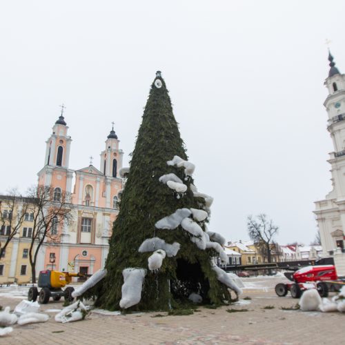 Kaunas atsisveikina su Kalėdų egle  © Laimio Steponavičiaus nuotr.