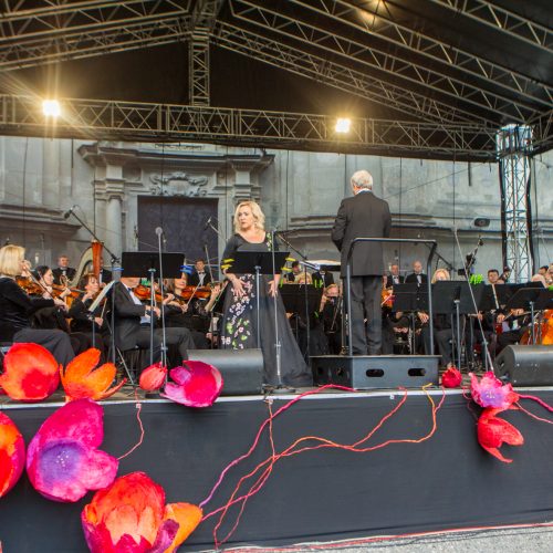 XXIV Pažaislio muzikos festivalio atidarymo koncertas   © Laimio Steponavičiaus nuotr.