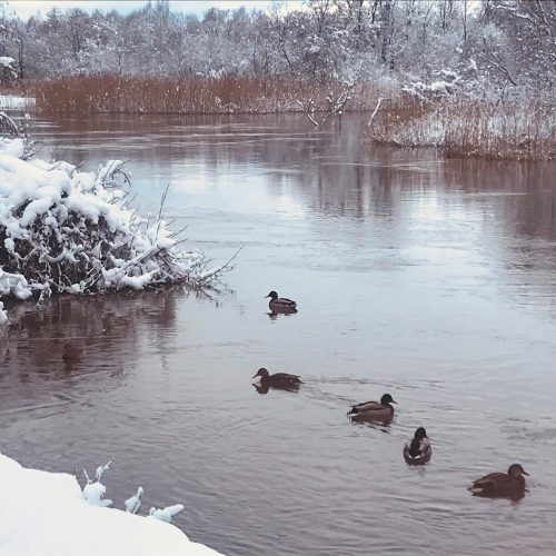 Sniegas Klaipėdoje  © Klaipėdiečių nuotr.